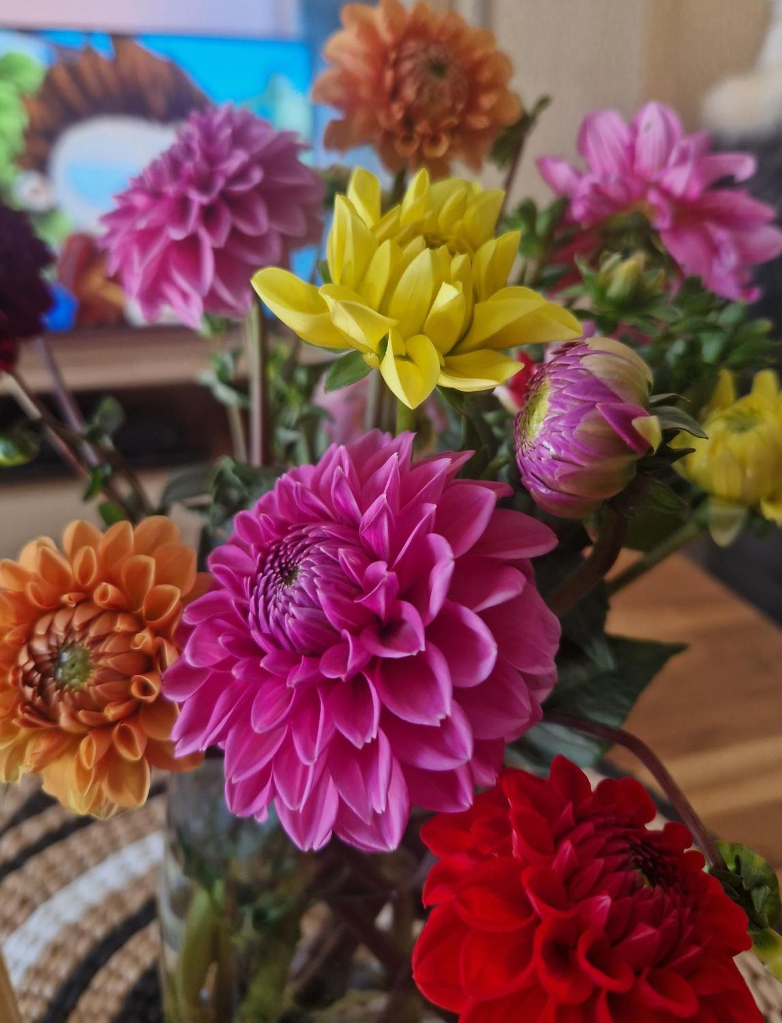TiefenthalKaribu公寓 外观 照片