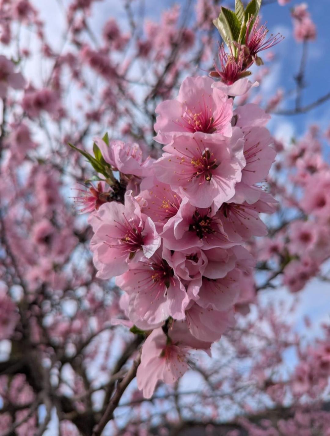 TiefenthalKaribu公寓 外观 照片
